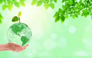 Green Earth. A hand is holding a green globe with a plant on top.